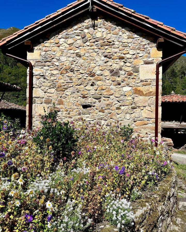 فيلا La Casita De Olivia Espinaredo La Villa المظهر الخارجي الصورة